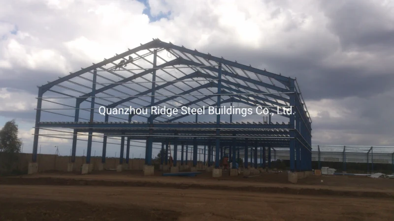 Large Scal Prefabricated Steel Structure Shopping Mall