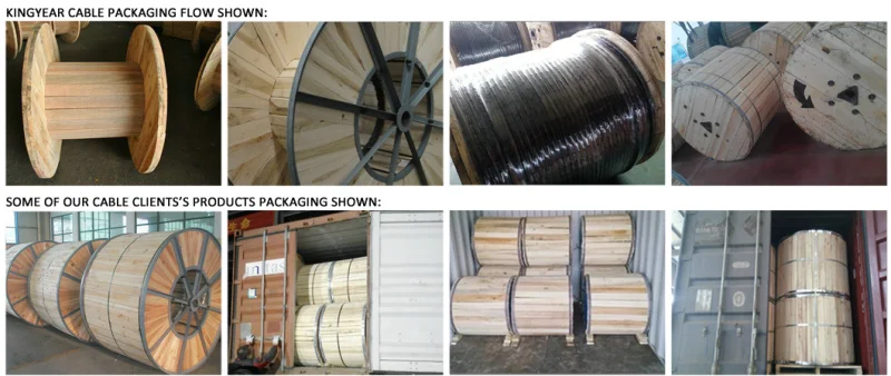 Electrical Power Cable Wire with Steel Armoured