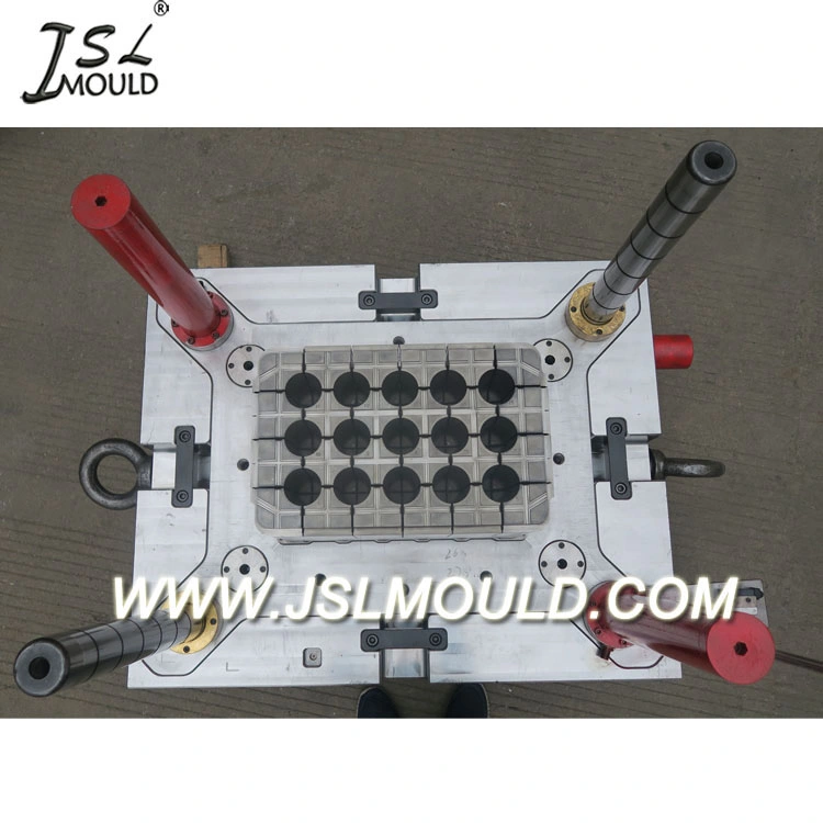 Plastic Injection Pepsi Beverage Crate Mould