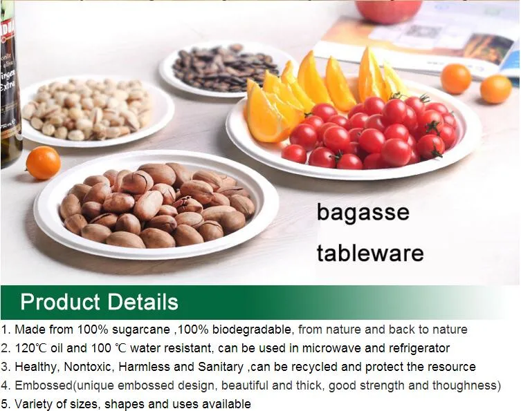 Compostable Take Away Clamshell Sugarcane Tray and Lid