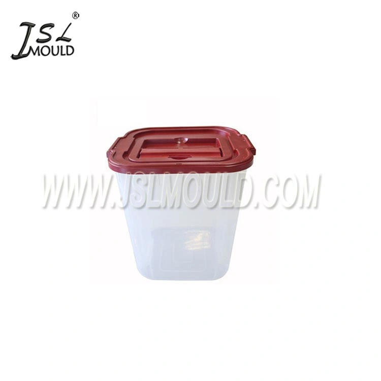 Injection Plastic Mould for Ballot Box