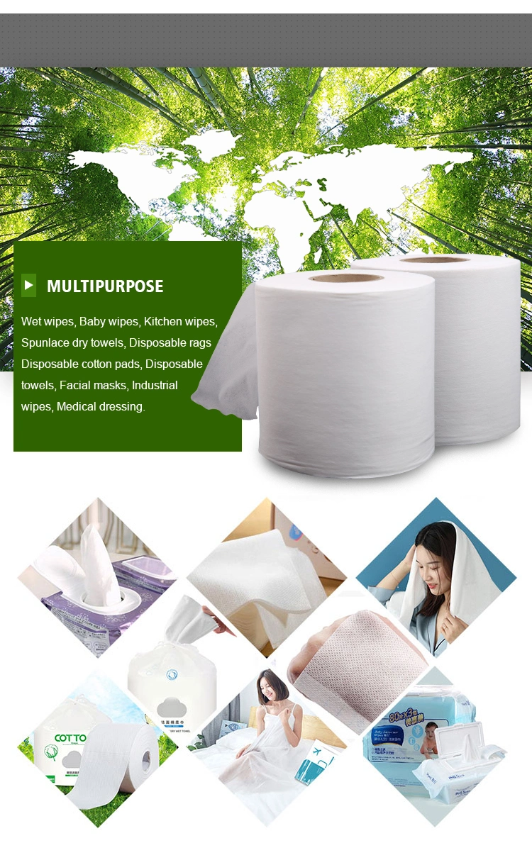 Biodegradable Spunbond Fabric