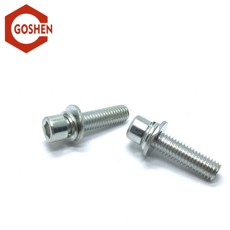 Hex Socket Screws with Spring Washers