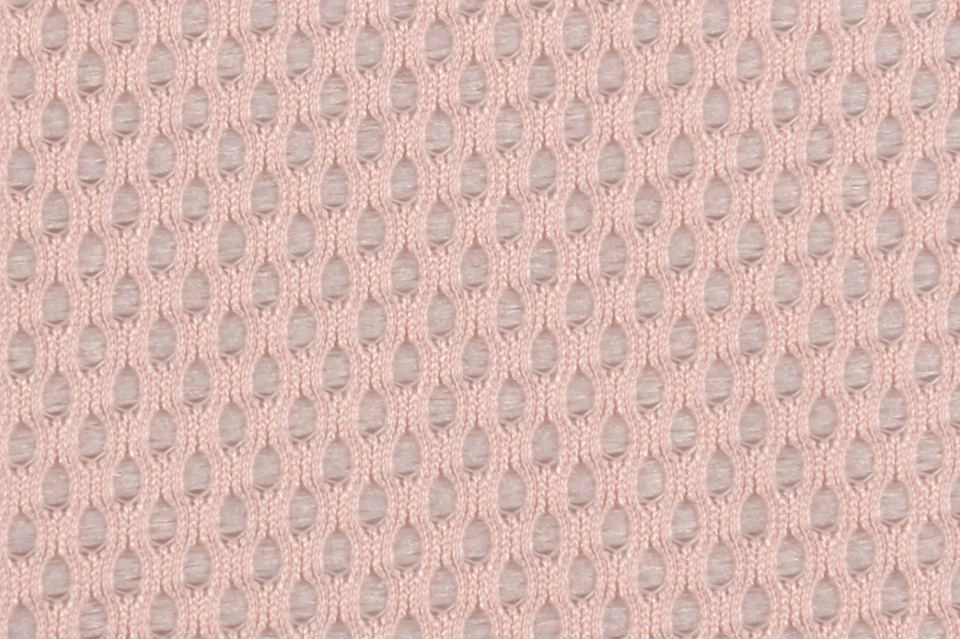DTY 100%Polyester Warp Knitting Mesh Fabric for Sportswear Lining