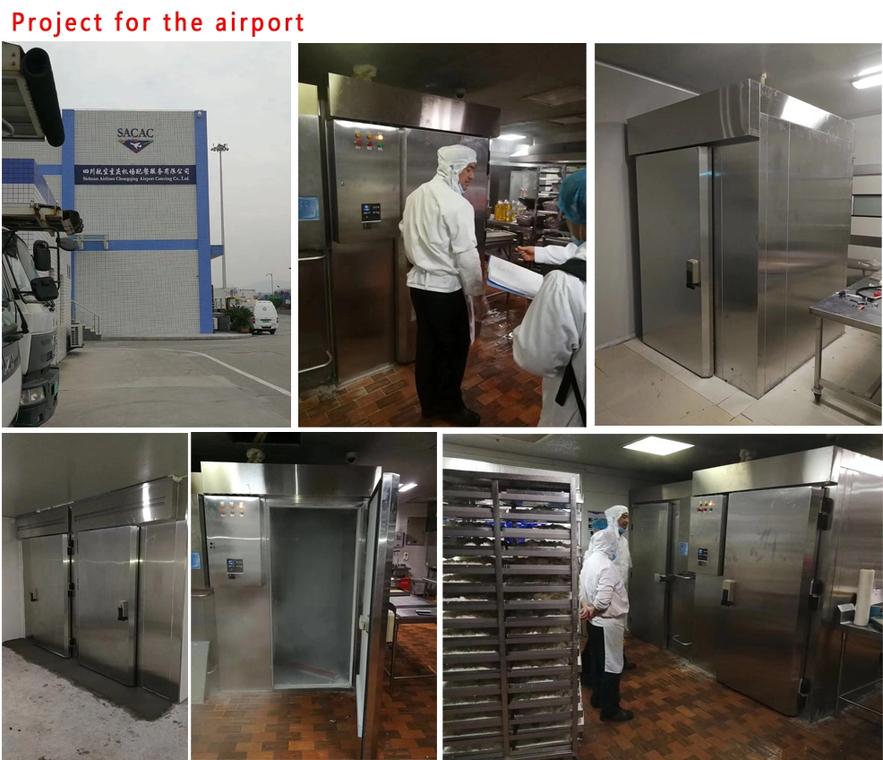 40 Trays -40 Degree Blast Chiller with Trolley (T40-D)