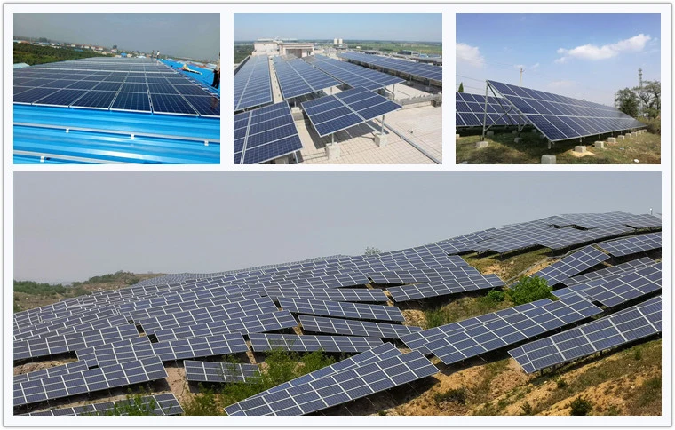 Supplier 270W 275W 280W 290W 30V Biggest Manufacturer of 12bb Poly PV Solar Modules