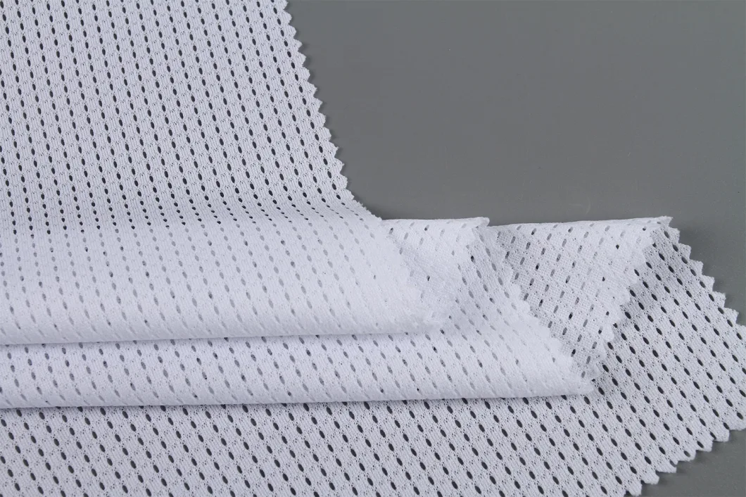 High Quality 100%Polyester Small Hole Warp Knitting Mesh Fabric for Sportswear/Lining