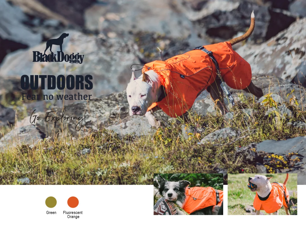 Amazon Best Seller Pet Clothes Rain Jacket Dog Clothes