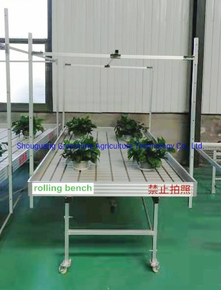 Hydroponic Flood Table with Metal Rolling Benches for Agricultural Planting