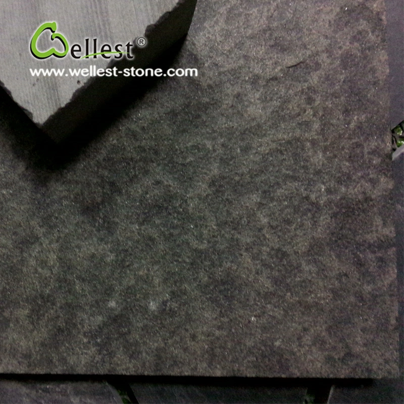 Chinese Black/Absolute Pure Black /Mongolian Black Granite for Table Bench Top/Countertop and Flooring