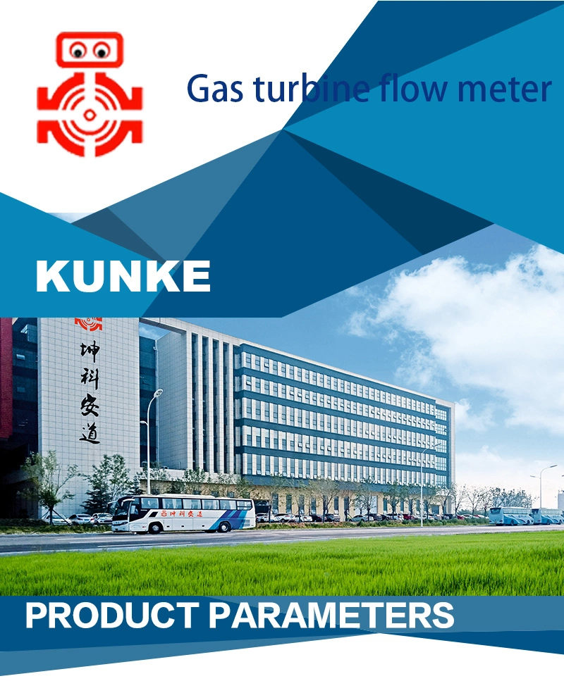 Gas Fuel Turbine Flow Meter DN50 Air Flow Meter