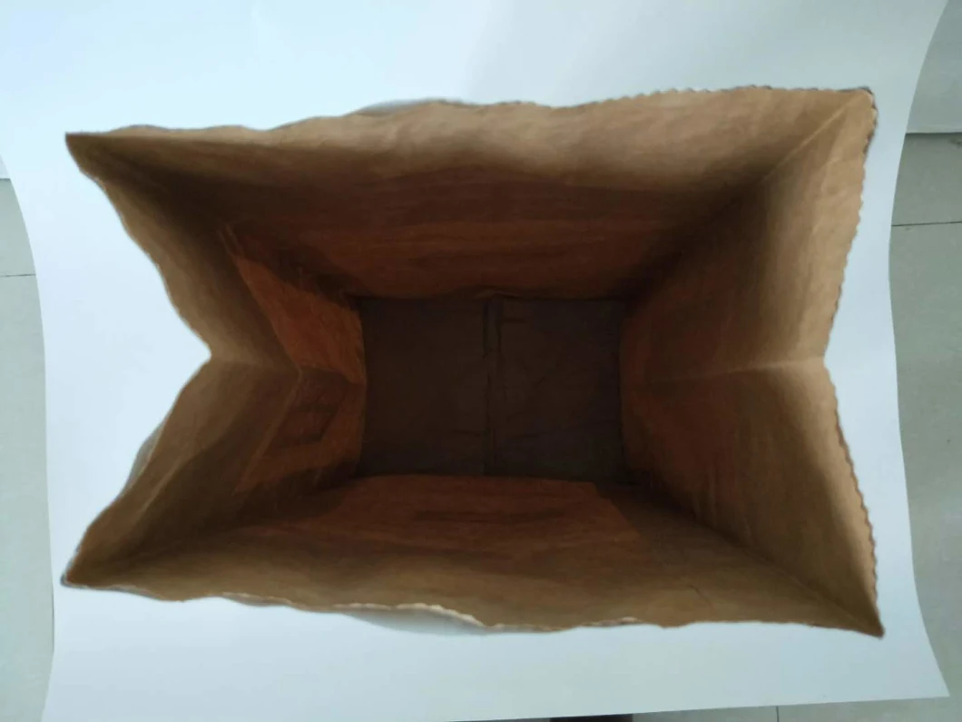 BBQ Briquette Brown Kraft Paper Hardwood Lump Charcoal Packaging Bags 2kg 3kg 4kg 5kg