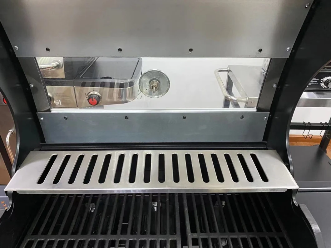 CSA CE Gas & Charcoal BBQ Grill