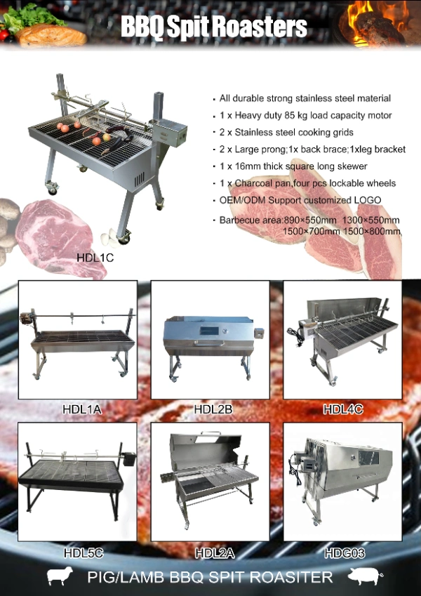 Large Outdoor Stainless Steel BBQ Spit Charcoal Rotisserie Commercial