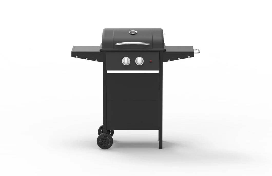 BBQ Charcoal Grill Outdoor PRO