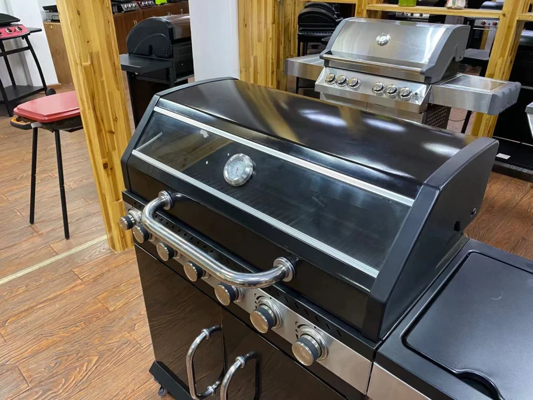 CSA CE Gas & Charcoal BBQ Grill