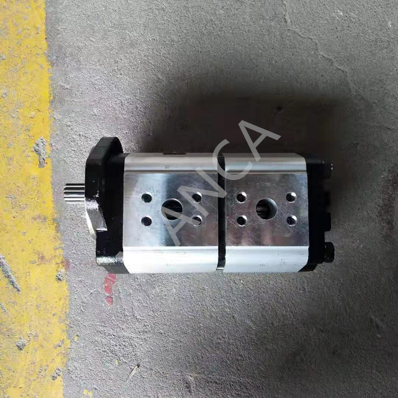 Sany Concrete Pump Parts Gear Pump B220301000403 Pump, Dual-Gear