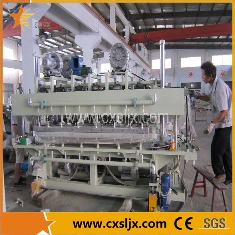 Plastic PC/PP/PE Hollow Grid Board Extrusion Machine