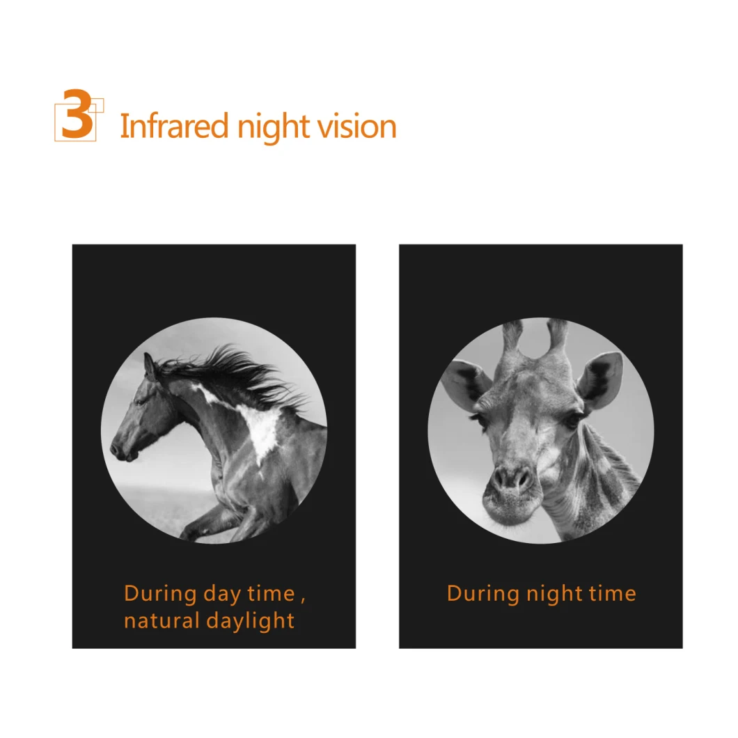 Dual Use Day and Night Outdoor Infrared Night Vision Riflescope