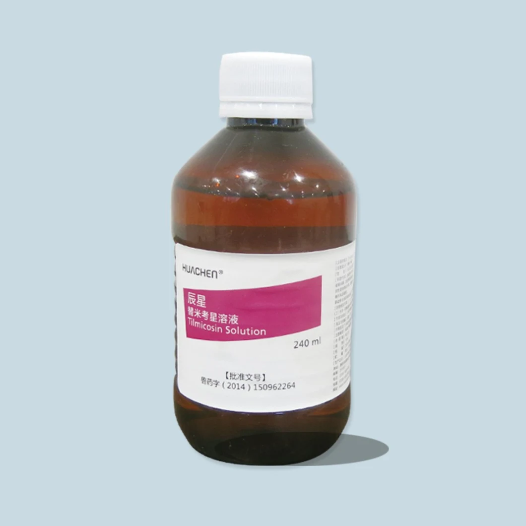 Poultry High Quality 25% GMP Tilmicosin Solution Veterinary Drugs