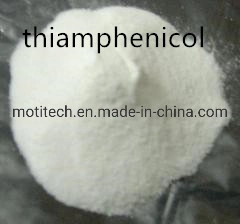 Animal Medicine High Purity Thiamphenicol Powder