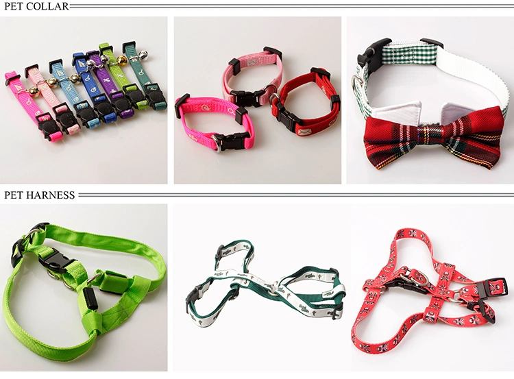 Retractable Customized Large/Small Size Polyester Pet/Cat/Dog Leashes and Collar for Dog