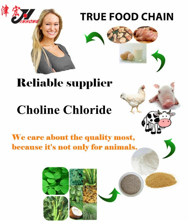 Choline Chloride China Origin Feed Additives