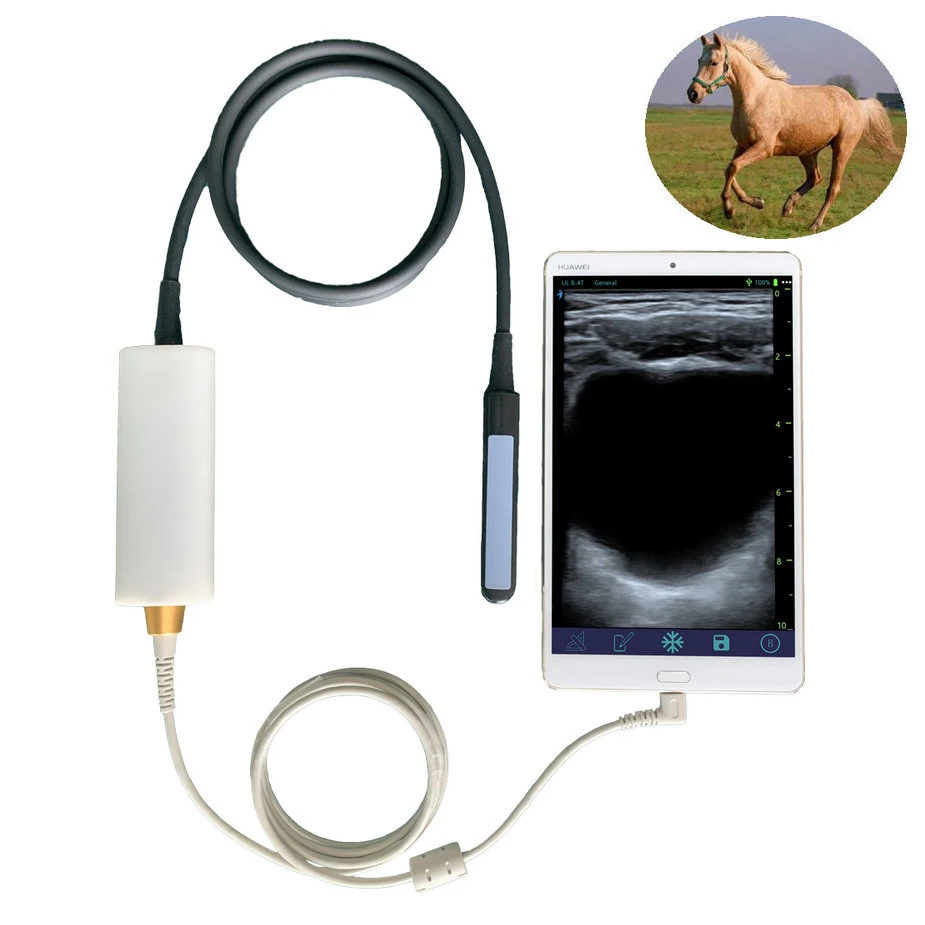 Cattle/Equine/Bovine/Equine Vet Rectal Probe Ultrasound System/Machine/Scanner for Veterinary