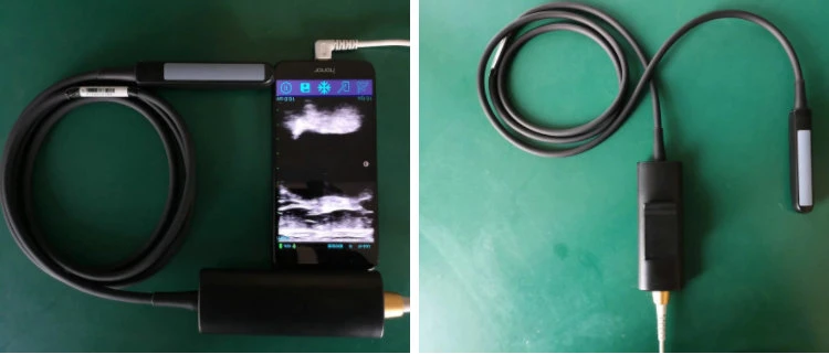Cattle/Equine/Bovine/Equine Vet Rectal Probe Ultrasound System/Machine/Scanner for Veterinary