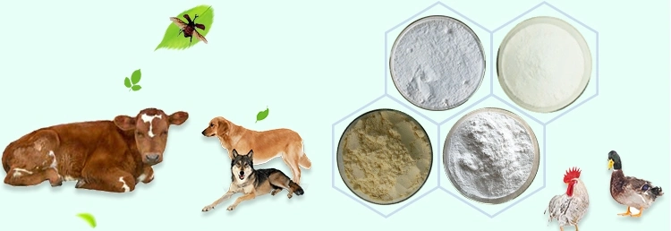 Best Price Cefquinome Sulfate 7.5% Powder Animal Veterinary Drugs