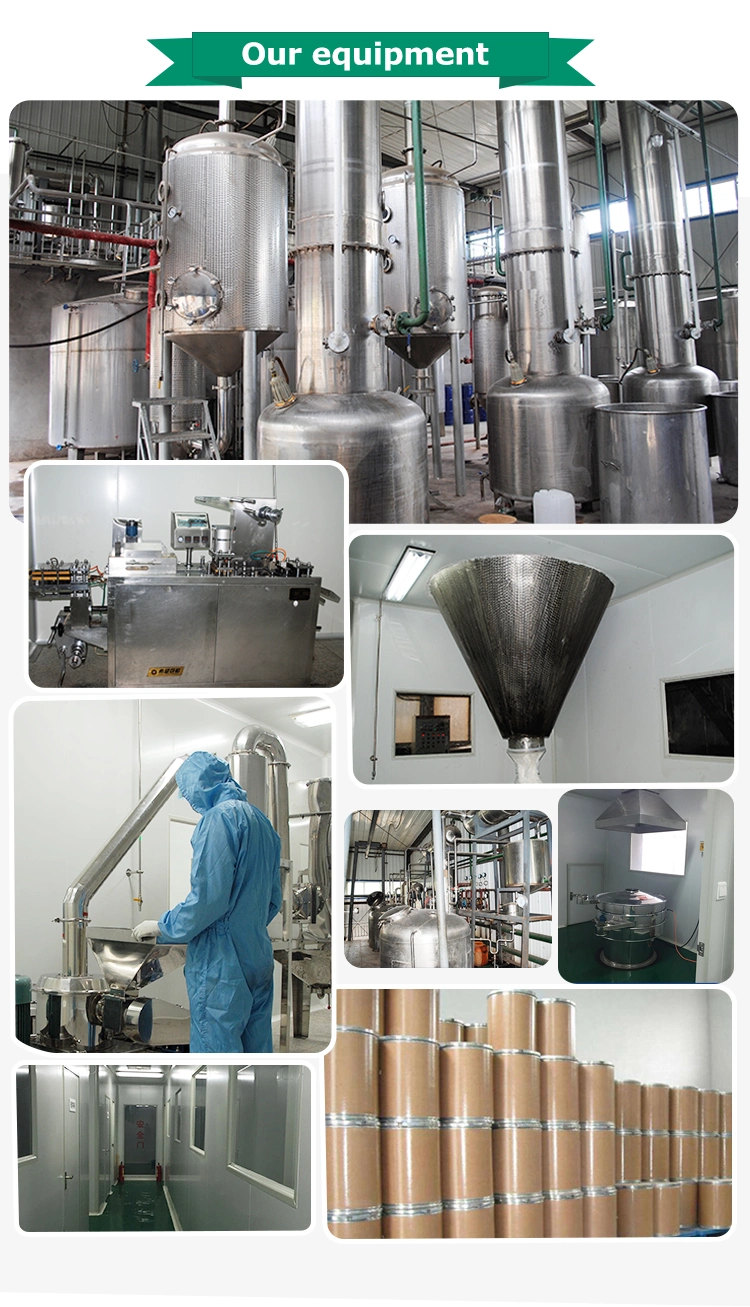 GMP Factory Supply Tetracaine Hydrochloride CAS: 136-47-0 Eyedrops Wholesales