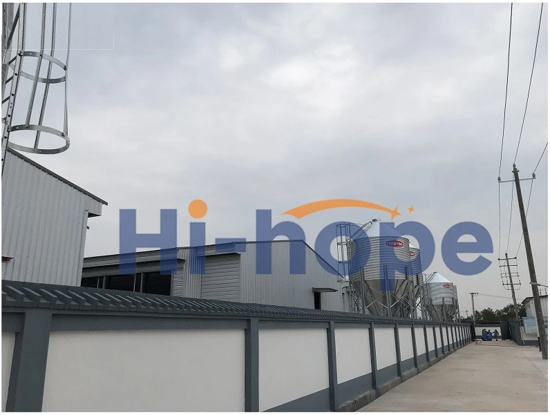 Chicken House Hot Galvanized Feed Silo for Chicken Poultry Farming