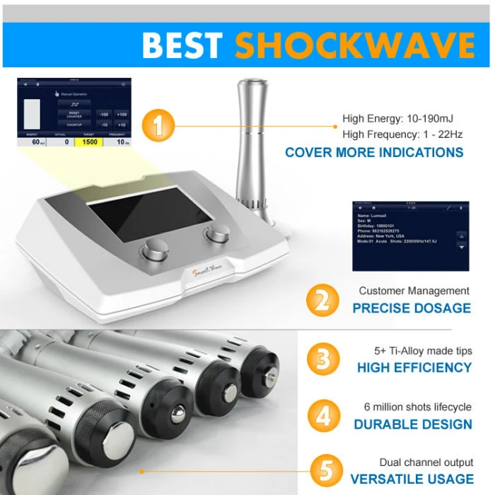 Equine Veterinary Use BS-Swt2X Shock Wave Therapy Equipment Treat Hose Navicular Syndrome