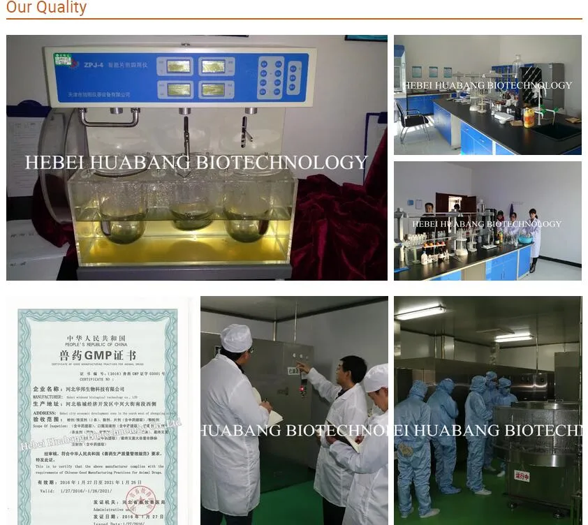 GMP Certified OEM High Efficient Antibiotic Enrofloxacin Injection for Animals