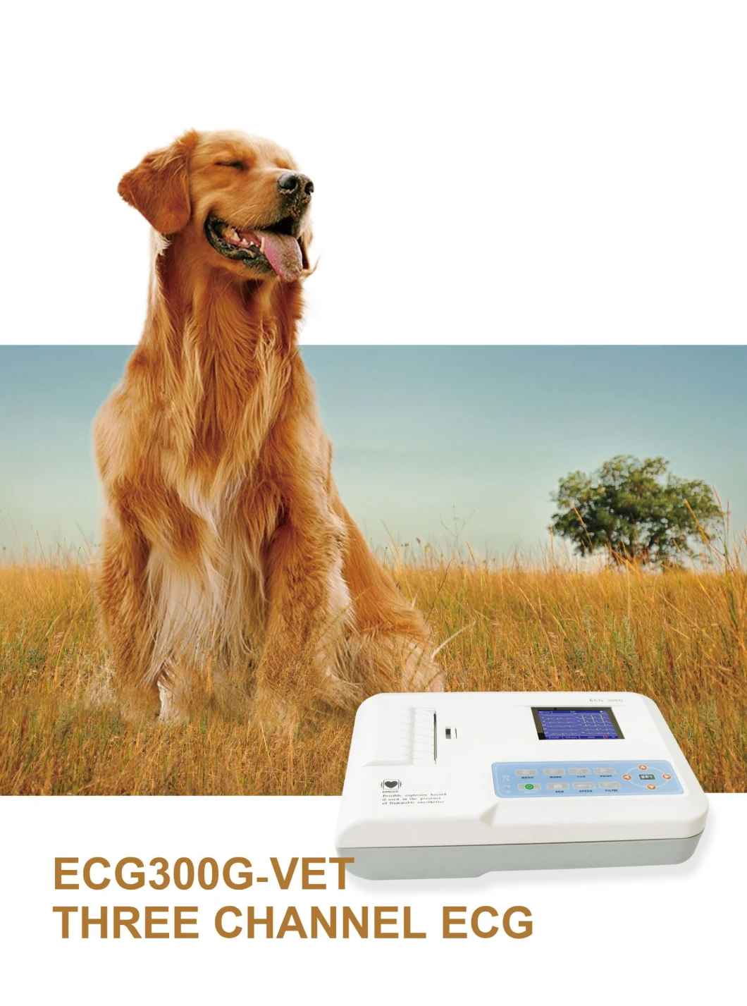 Good Quality Digital 3 Channel with Color Screen Vet Veterinary Animal Dog Cat ECG Machine Electrocardiograph