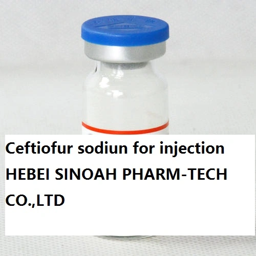 Veterinary Medicines Ceftiofur Sodium for Injection Used for Horse, Cattle, Sheep, Pigs
