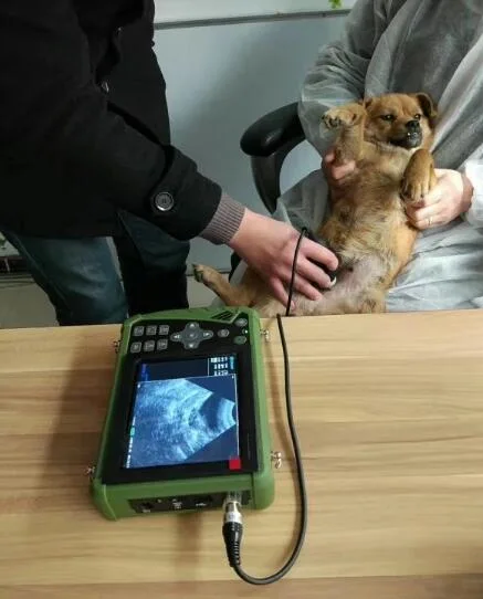 Good Quality Veterinary Ultrasound Equipment Price for Dog Pig Sheep Cow Horse Cattle Ultrasound Portable Veterinary