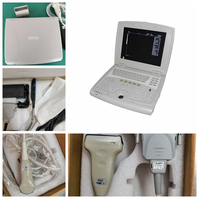 Cheapest Ultrasonic Equipment Veterinary Laptop Ultrasound for Equine Hospital Ultrasound Scanner