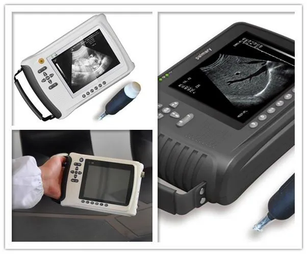 Hc-A017V Veterinary Handheld Portable Ultrasound Scanner Animals for Swine Dog Ultrasound Machine Veterinary