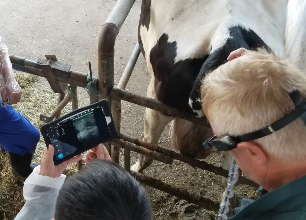 Medical Veterinary Vet Full Digital Wireless Portable Ultrasound Scanner for Bovine, Equine, Ovine Scanning