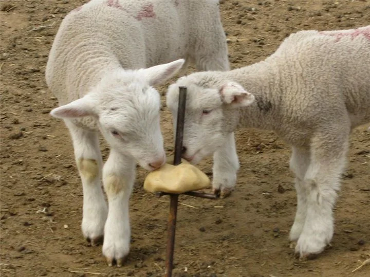 Nutrition Mineral Animal Salt Lick Block for Cattle/Sheep/Horse/Livestock