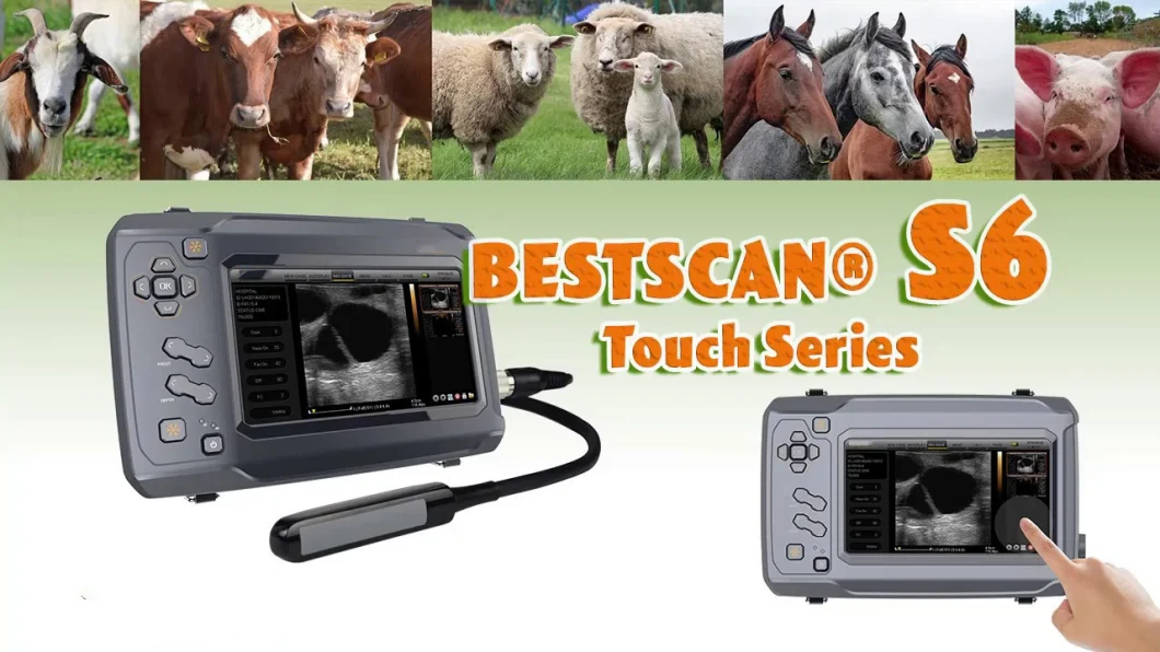 Scanner Cheapest Portable Ultrasound Machine for Pig Cattle and Sheep
