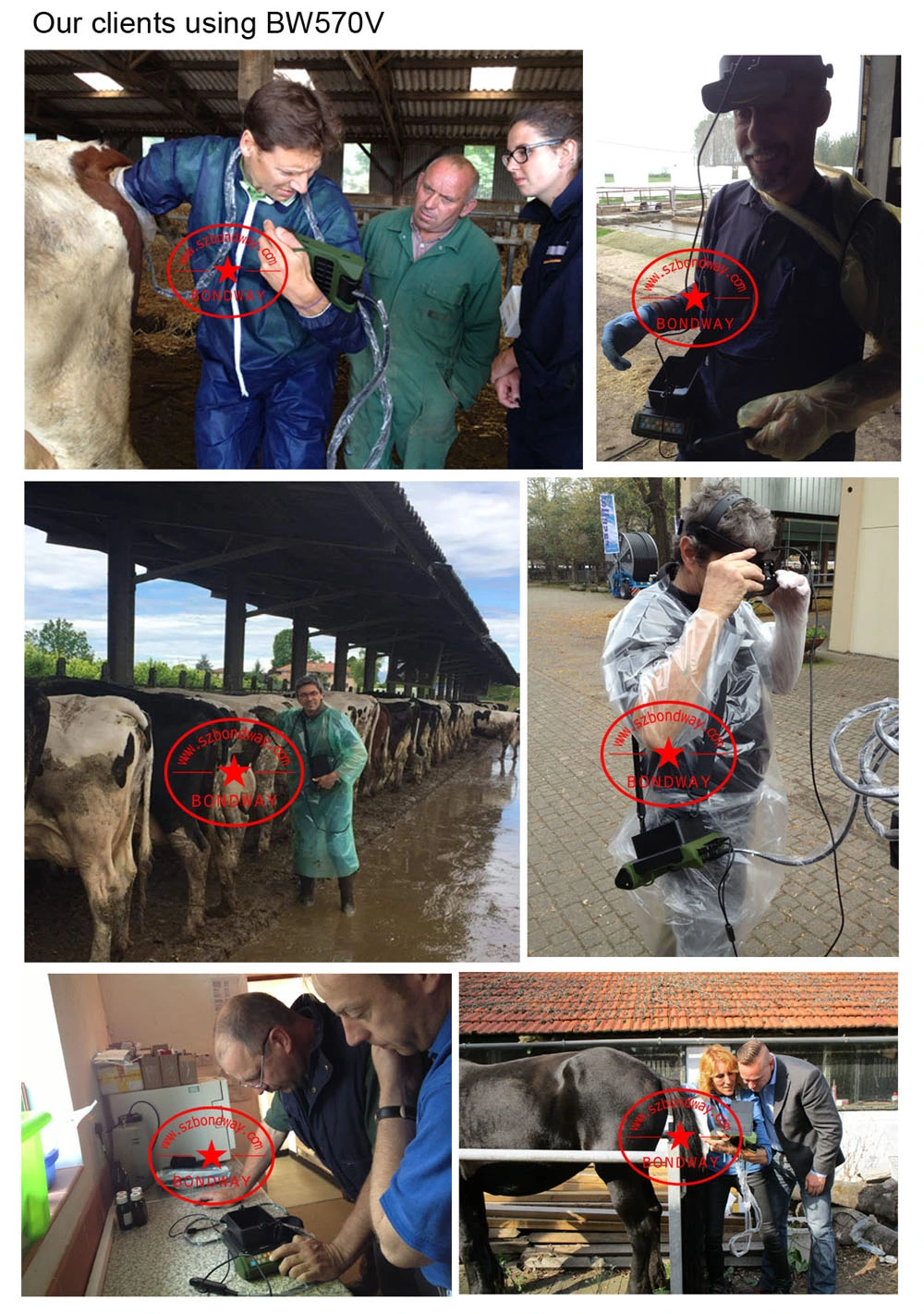 Digital Veterinary Equine, Bovine, Canine, Faline, Llama Ultrasound Scanner