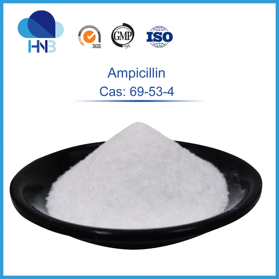 GMP Antibiotics Ampicillin Powder 69-53-4 with Good Price 99% Ampicillin Sodium