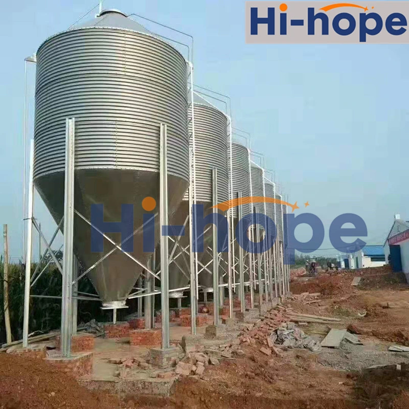 Chicken Poultry Feed Silo with Auger Transfering Fodder Into Chicken House