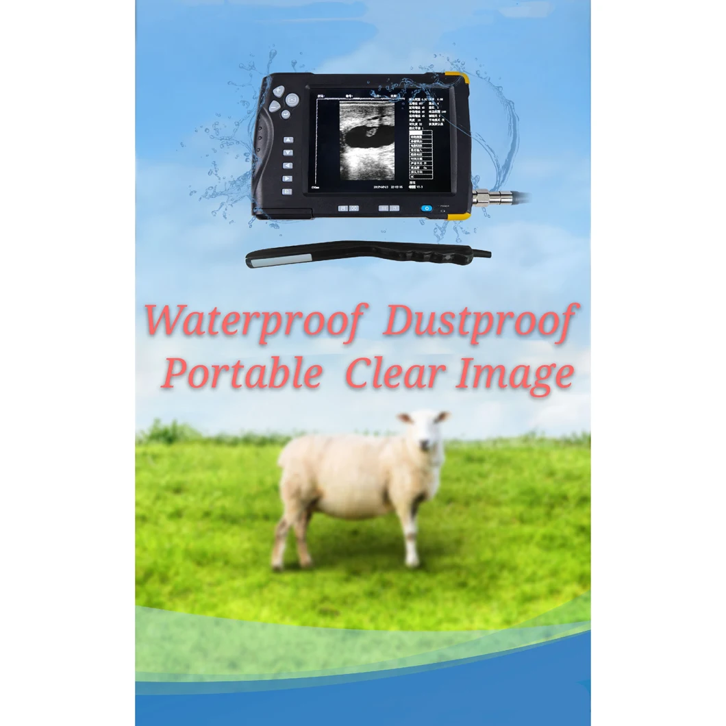 Husbandary Farm Veterinary B-Ultrasound Scanner Used in Cow/Cattle/Sheep/Pig Farm