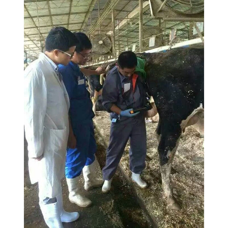 Husbandary Farm Veterinary B-Ultrasound Scanner Used in Cow/Cattle/Sheep/Pig Farm