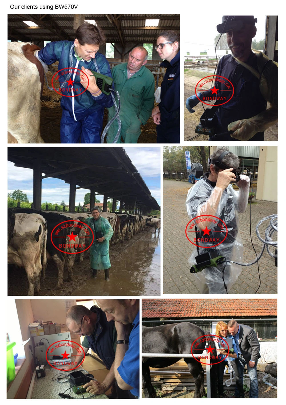 Equine Pregnancy Test Equipment Veterinary Instrument, Veterinary Equipment, Veterinary Ultrasonic Machine for Horse, Cow, Cattle, Veterinary Ultrasound Scanner