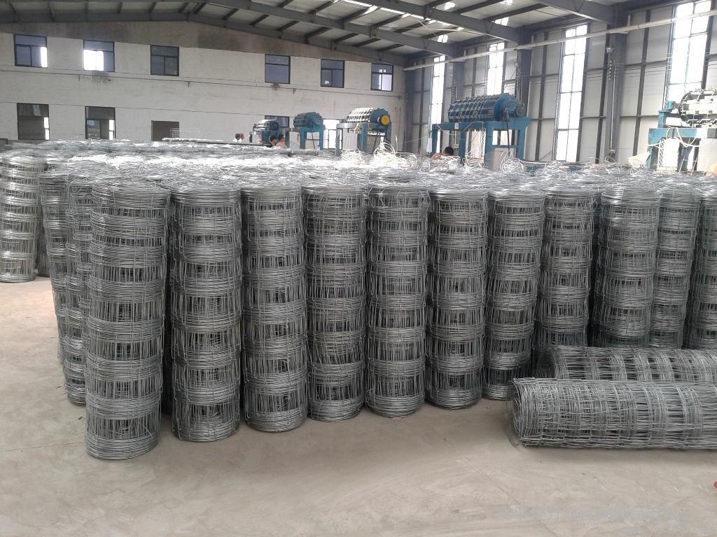 Deer Horse Sheep Filed Fence of Galvanized Wire Cattle Fencing Export to Australia, New Zealand, USA
