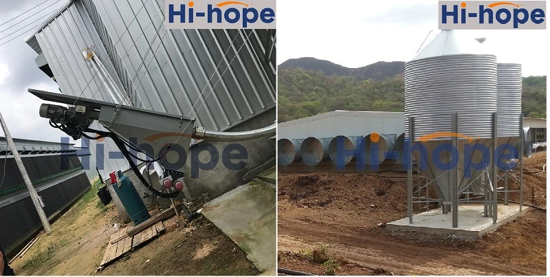Chicken House Hot Galvanized Feed Silo for Chicken Poultry Farming